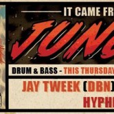 It Came From The Jungle ft. Hyphen ; Jay Tweek & Niskerone